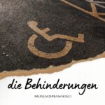 die Behinderungen – niepełnosprawności